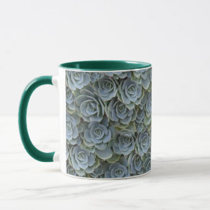 GRÖNT GRÅTT SUCCULENT VÄXTROSETTES MUGG
