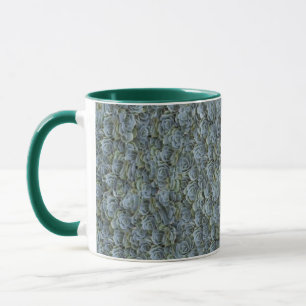 GRÖNT GRÅTT SUCCULENT VÄXTROSETTES MUGG