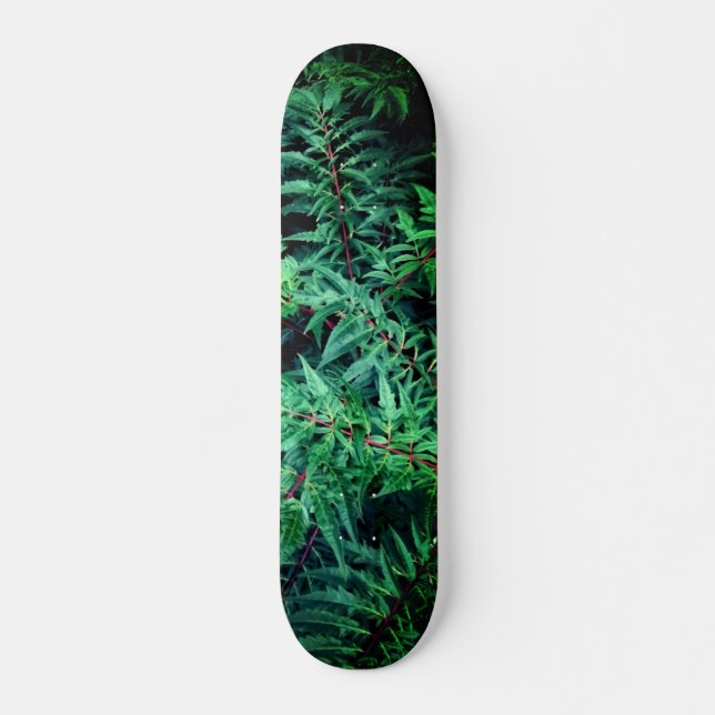 Grönt grenar mini skateboard bräda 18,5 cm (Framsida)