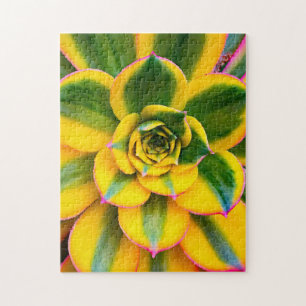 Grönt Gult Rosa Cactus Photo Bevalt Close Up Pussel