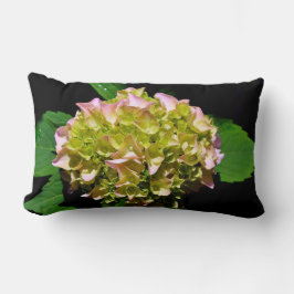 Grönt gult rosa Hydrangea rosa gult blomma Lumbarkudde