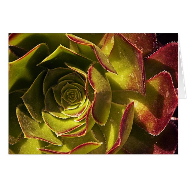 Grönt Hälsningskort (Framsidan Horizontal)