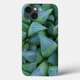 Grönt Hamoderia Succulants iphone case