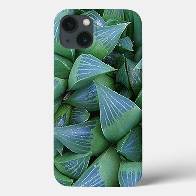 Grönt Hamoderia Succulants iphone case (Baksida)