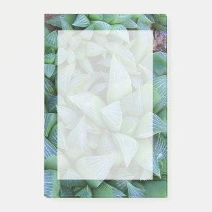 Grönt Hamoderia Succulent Plant Stickies Post-it Block