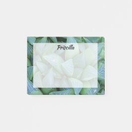 Grönt Hamoderia Succulte Plant Anpassningsbar Stic Post-it Block