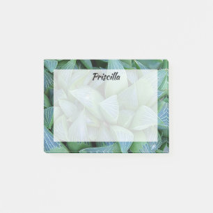 Grönt Hamoderia Succulte Plant Anpassningsbar Stic Post-it Block