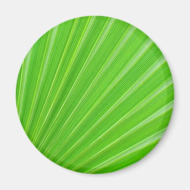 Grönt handflatan löv magnet (Framsidan)
