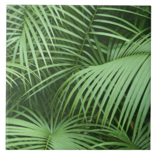 Grönt Handflatan Löv Natur botaniskt Thmet Kakelplatta