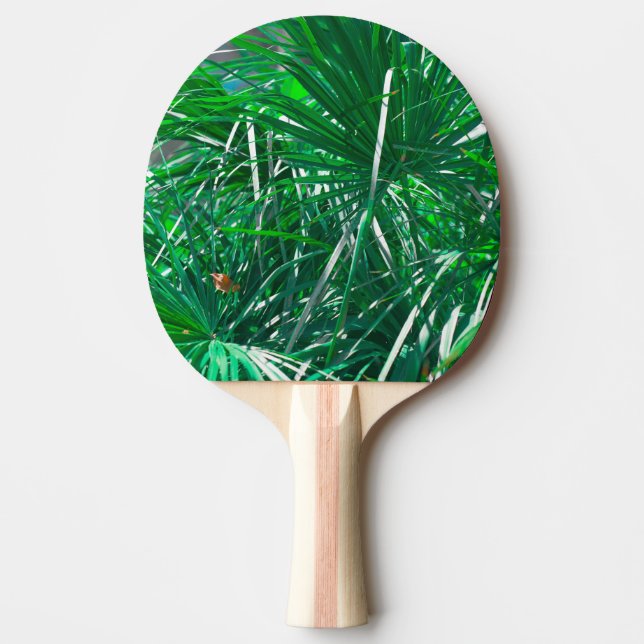 Grönt handflatan träd, löv pastel pingisracket (Framsidan)