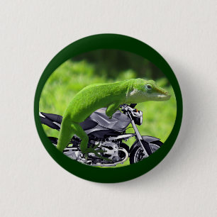 Grönt Hawaiian Gecko Rider Knapp