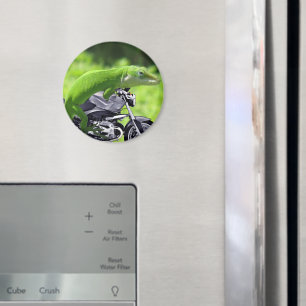 Grönt Hawaiian Gecko Rider Magnet