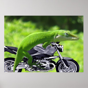 Grönt Hawaiian Gecko Rider Poster