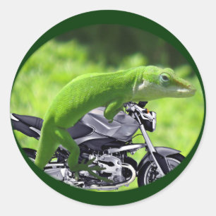 Grönt Hawaiian Gecko Rider Runt Klistermärke