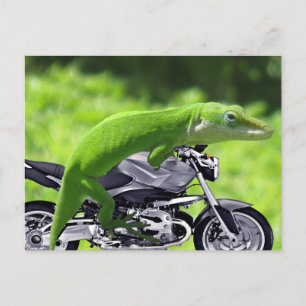 Grönt Hawaiian Gecko Rider Vykort