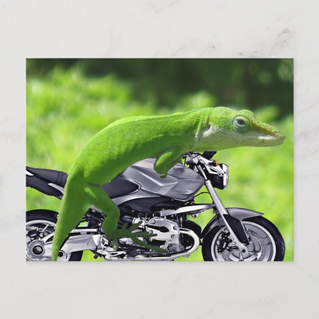 Grönt Hawaiian Gecko Rider Vykort (Framsida)