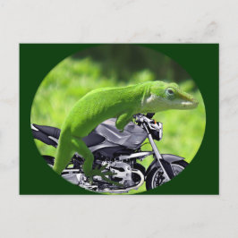 Grönt Hawaiian Gecko Rider Vykort