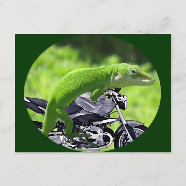 Grönt Hawaiian Gecko Rider Vykort (Framsida)