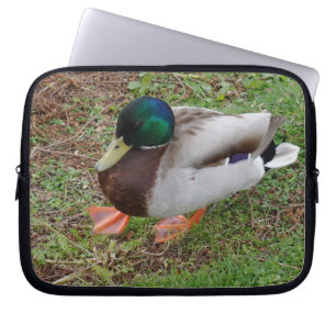 Grönt Head Anka Neoprene Laptop sleeve 10 tum