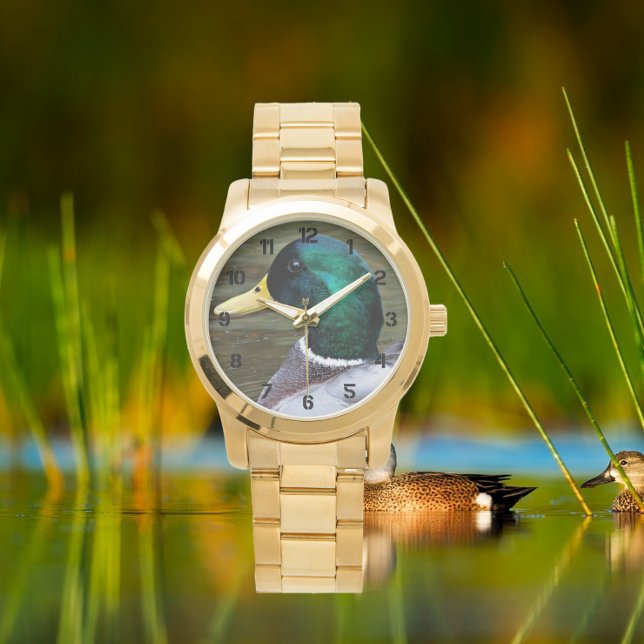 Grönt Headed Mallard Anka Photo Armbandsur (Skapare uppladdad)