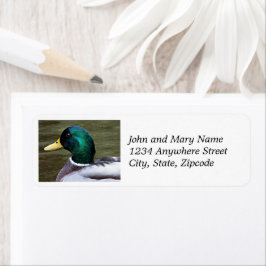 Grönt Headed Mallard Anka Returadress Etikett