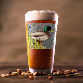 Grönt Headed Mallard Anka Wildlife Photo Glaskopp