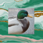 Grönt Headed Mallard Drake Kakelplatta<br><div class="desc">Natur: keramiskt plattor med foto av en grönt-driven Mallard drake,  manlig av arten anka. Markera din ruta storlek. Gör en underbar kökstrivet!</div>