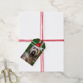Grönt Helgdag Play Briard Shepherd Hund jul Presentetikett