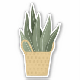 Grönt hemmaanläggning i en kartong med genomskinli klistermärken