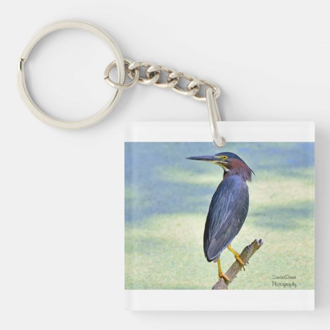 Grönt Heron (Framsidan)