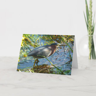 "Grönt Heron 1."Mottagningskort Kort