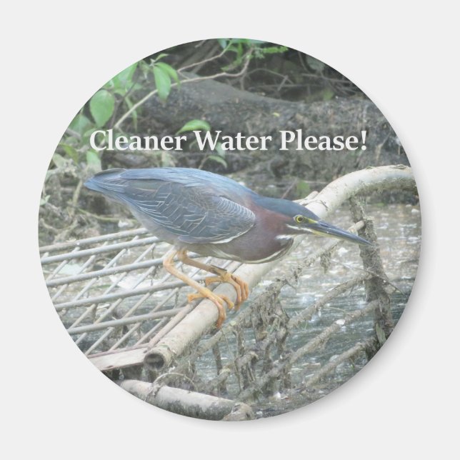 Grönt Heron Ecology magnet (Framsidan)
