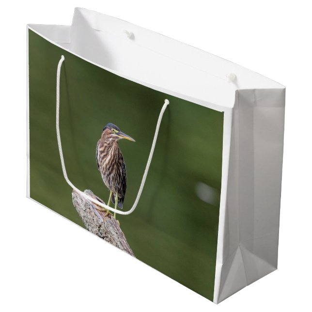 Grönt Heron i en logg (Framsidan Vinklad)