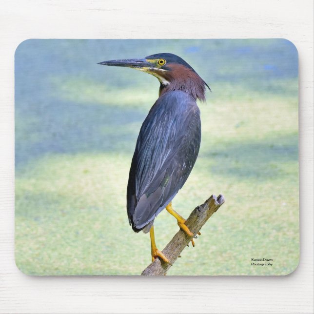 Grönt Heron Musmatta (Framsidan)