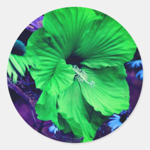 Grönt Hibiscus Flower Abstrakt Runt Klistermärke