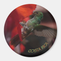 Grönt Hummingbird på Orange Flower Cust. Magnet