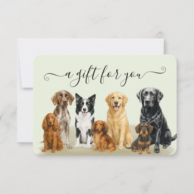 Grönt Hund Grooming Pet Boarding Gift Certificate (Framsida)