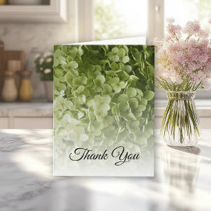 Grönt Hydrangea Blommigt Sympati Tack Kort