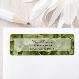 Grönt Hydrangea Flower Returadress Etikett
