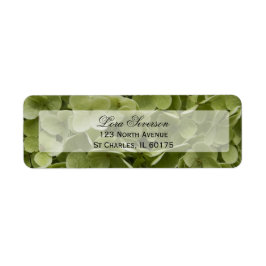 Grönt Hydrangea Flower Returadress Etikett