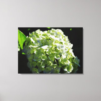 Grönt Hydrangeas Flowers Canvastryck
