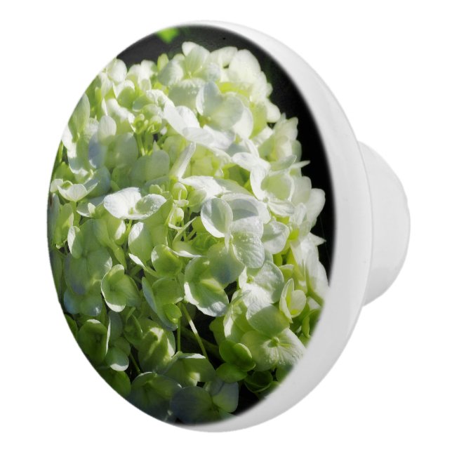 Grönt Hydrangeas Flowers Knopp (Höger)