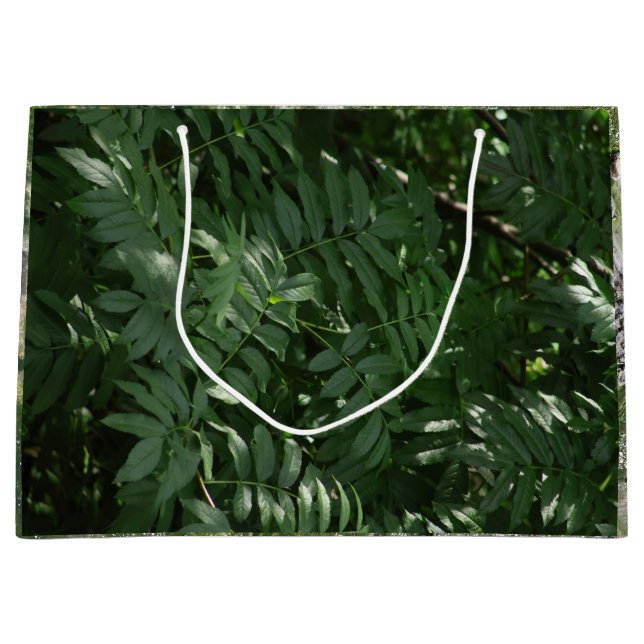 Grönt i gulsten (Framsidan)