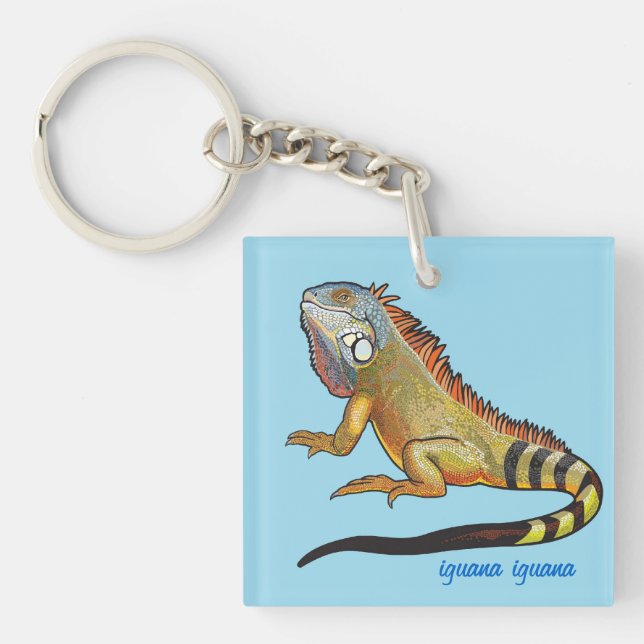 grönt iguana (Framsidan)