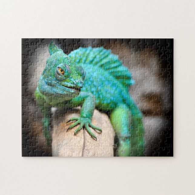 Grönt Iguana Close-up, Jigszawa Puzzle Pussel (Horisontell)