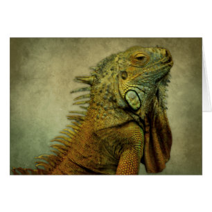 Grönt Iguana Hälsningskort