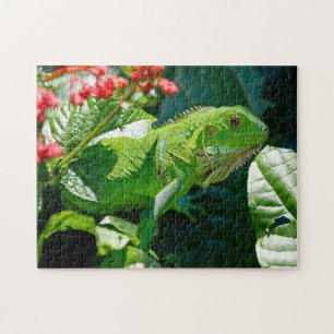 Grönt Iguana Ligua Pussel