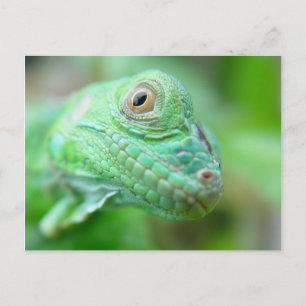 Grönt Iguana Lizard Reptile på Löv vykort