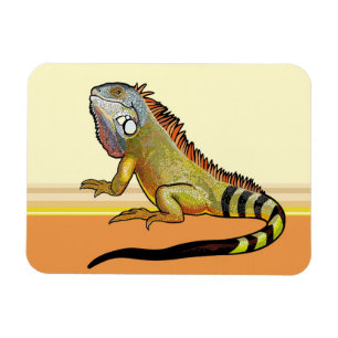 grönt iguana magnet