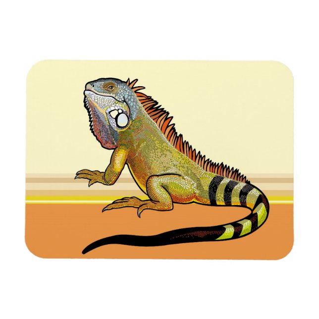 grönt iguana magnet (Horisontell)